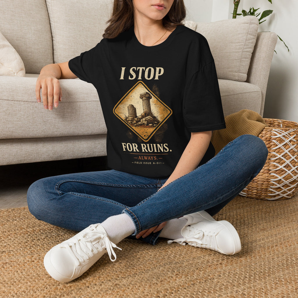 I Stop For Ruins Tote Bag, Archaeology Gift, Ancient Rome Canvas Bag, History Lover Tote, Archaeologist Gift, Museum shirt