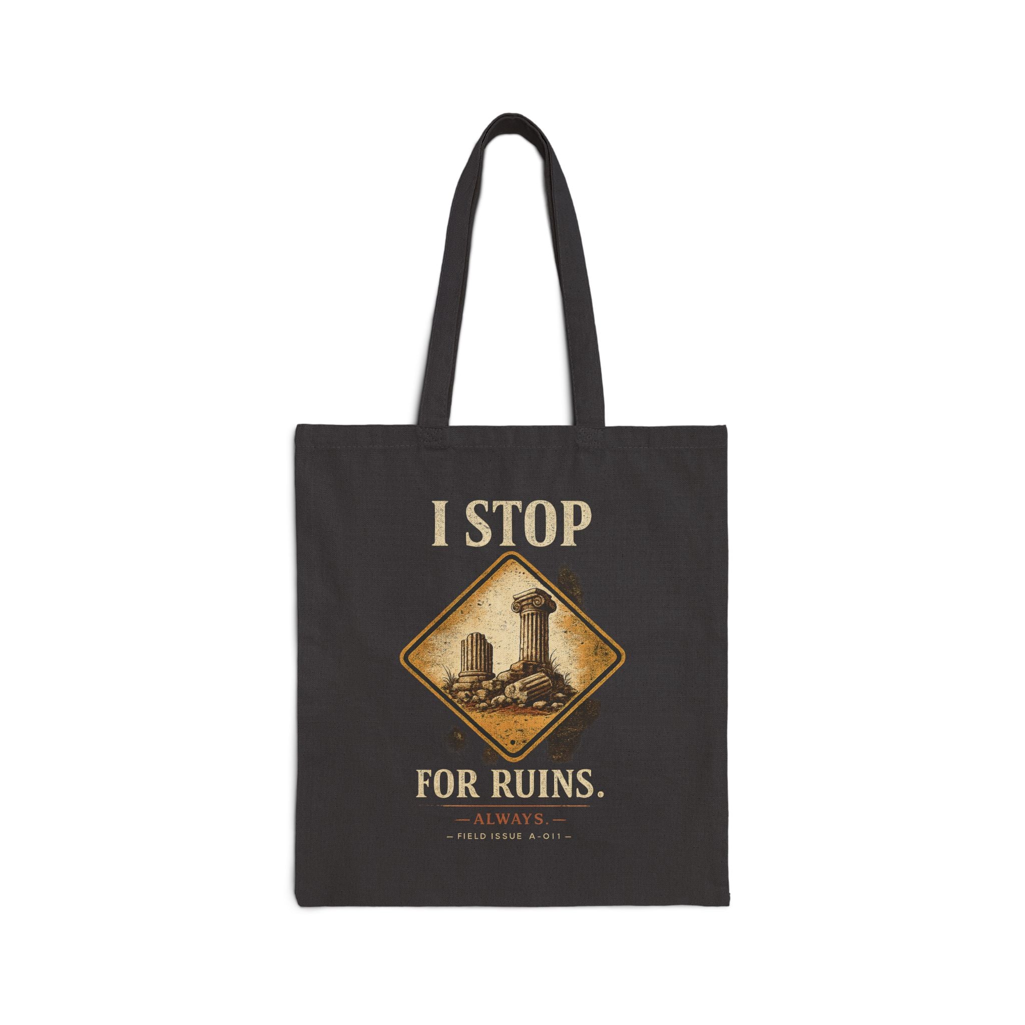 I Stop For Ruins Tote Bag, Archaeology Gift, Ancient Rome Canvas Bag, History Lover Tote, Archaeologist Gift, Museum Bag