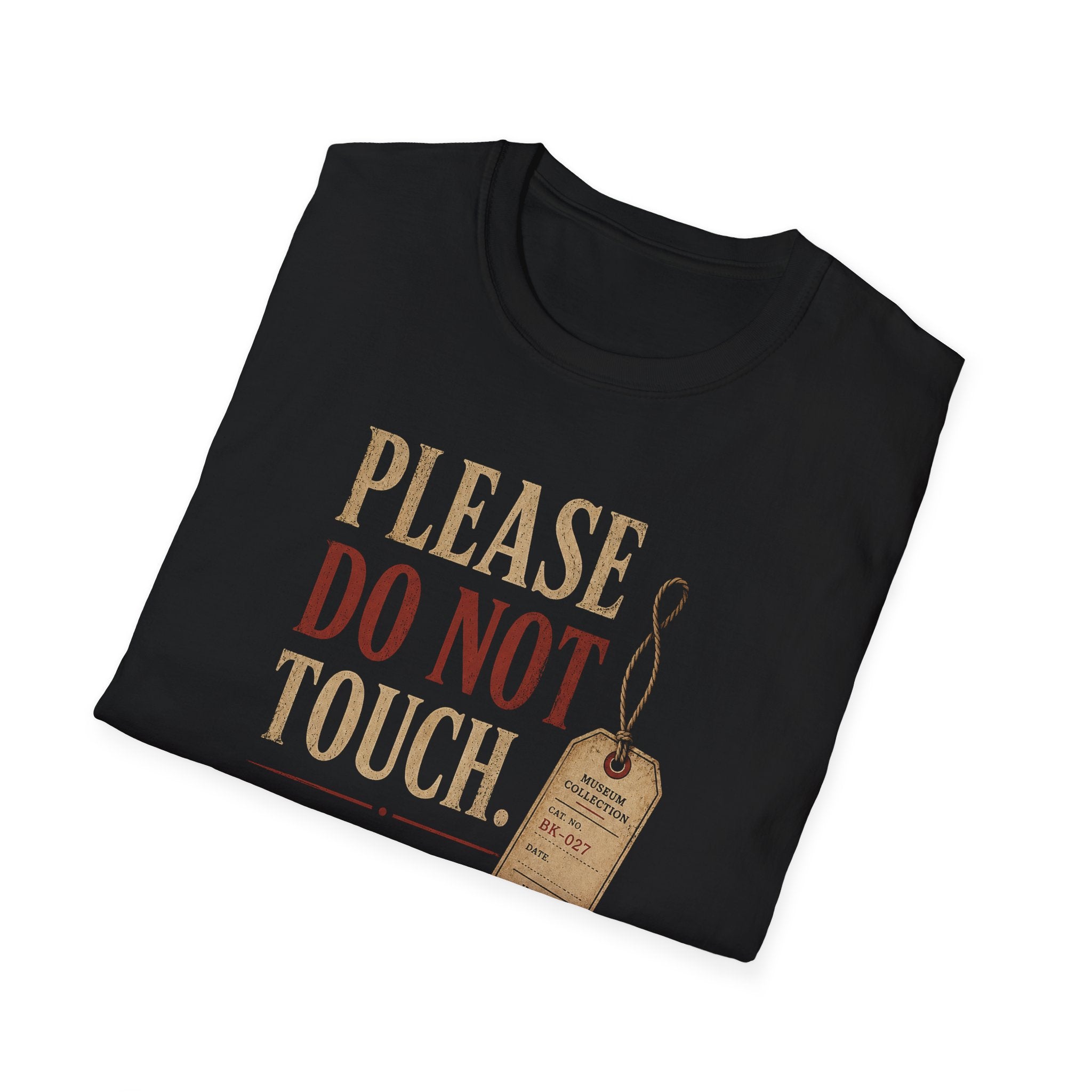 Please Do Not Touch Shirt, Archaeology T-Shirt, Museum Archaeologist Gift, Funny History Shirt, Dark Academia