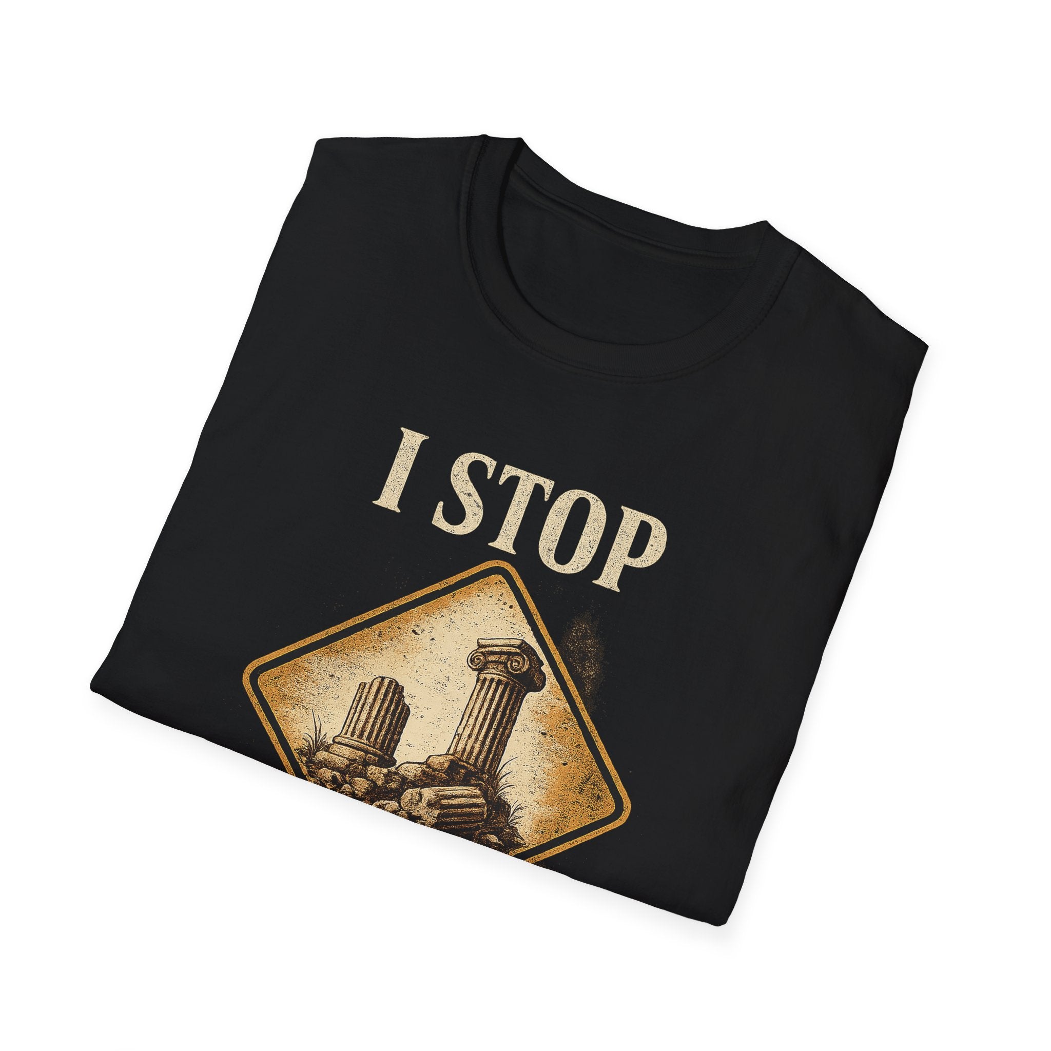 I Stop For Ruins Tote Bag, Archaeology Gift, Ancient Rome Canvas Bag, History Lover Tote, Archaeologist Gift, Museum shirt