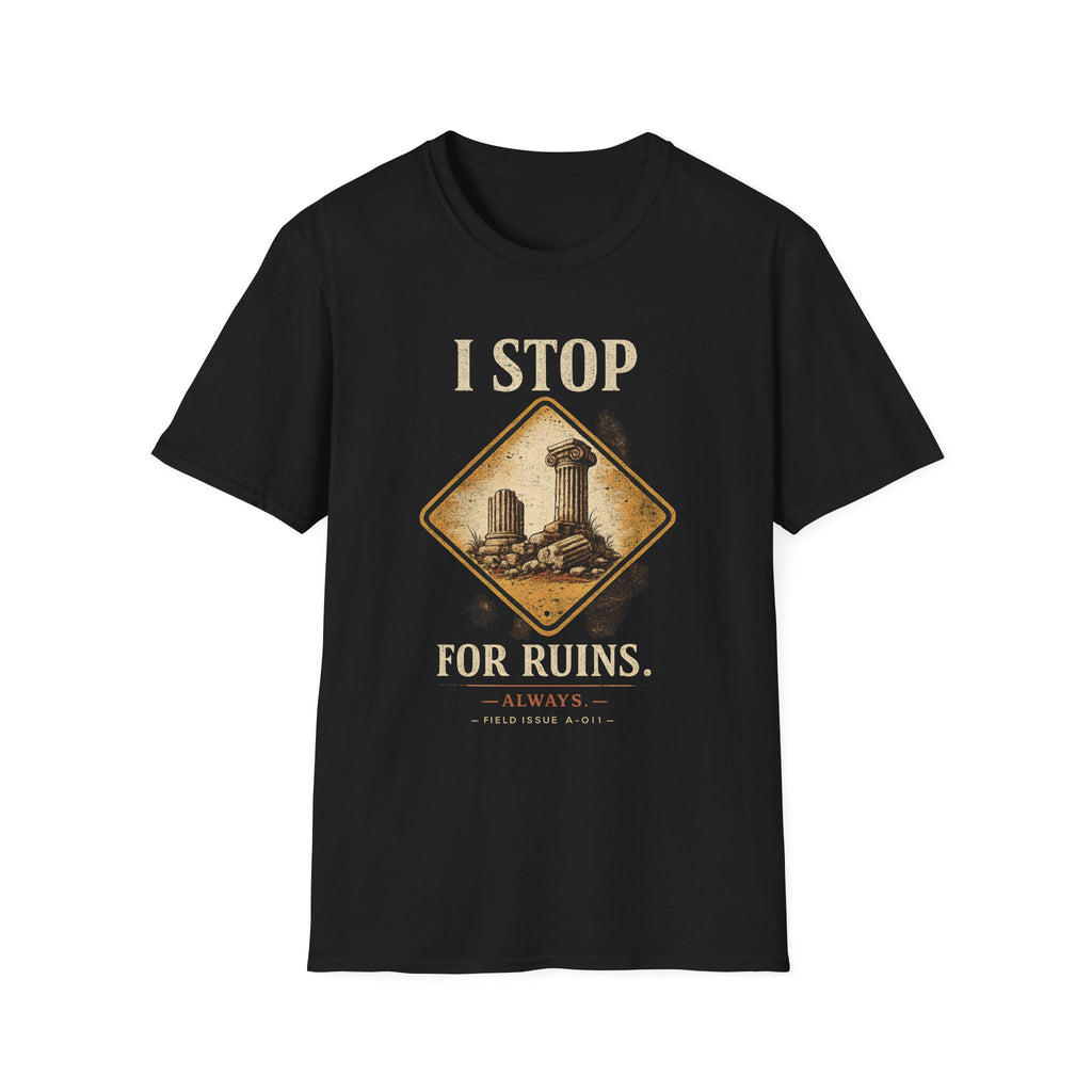 I Stop For Ruins Tote Bag, Archaeology Gift, Ancient Rome Canvas Bag, History Lover Tote, Archaeologist Gift, Museum shirt