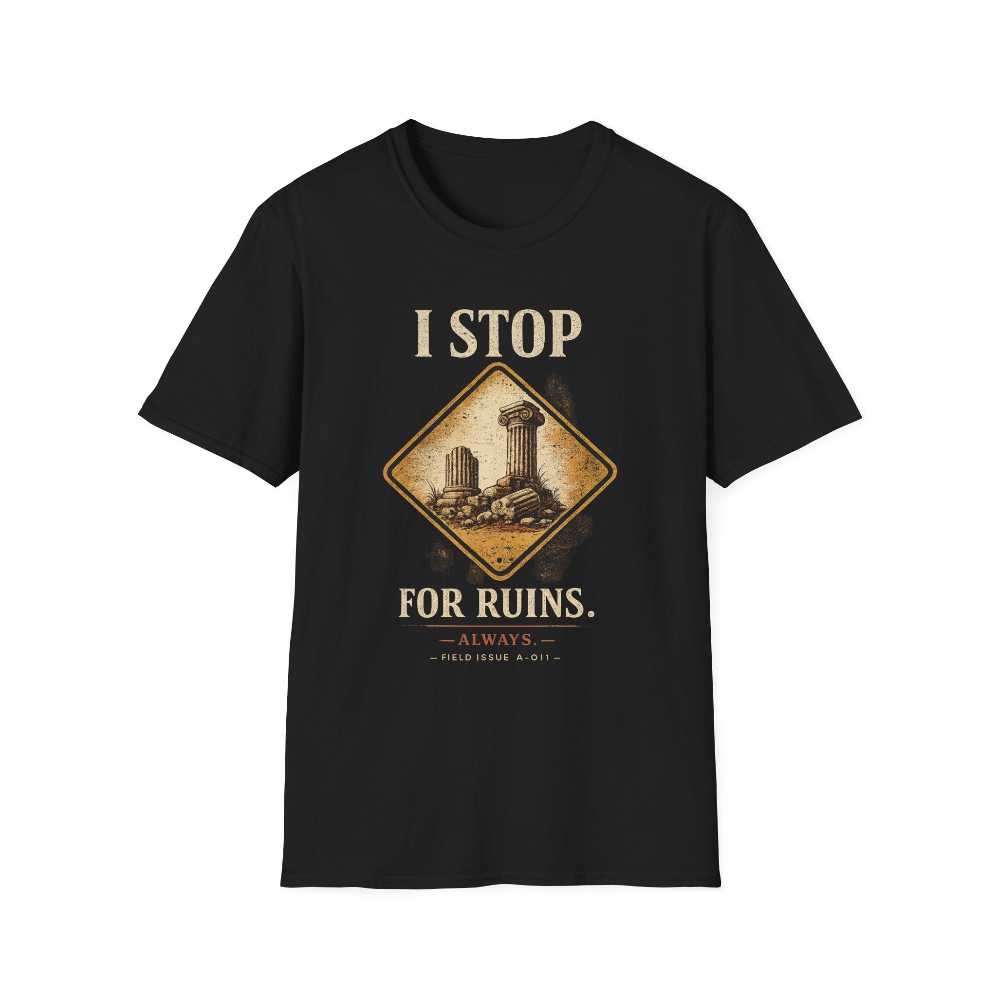I Stop For Ruins Tote Bag, Archaeology Gift, Ancient Rome Canvas Bag, History Lover Tote, Archaeologist Gift, Museum shirt