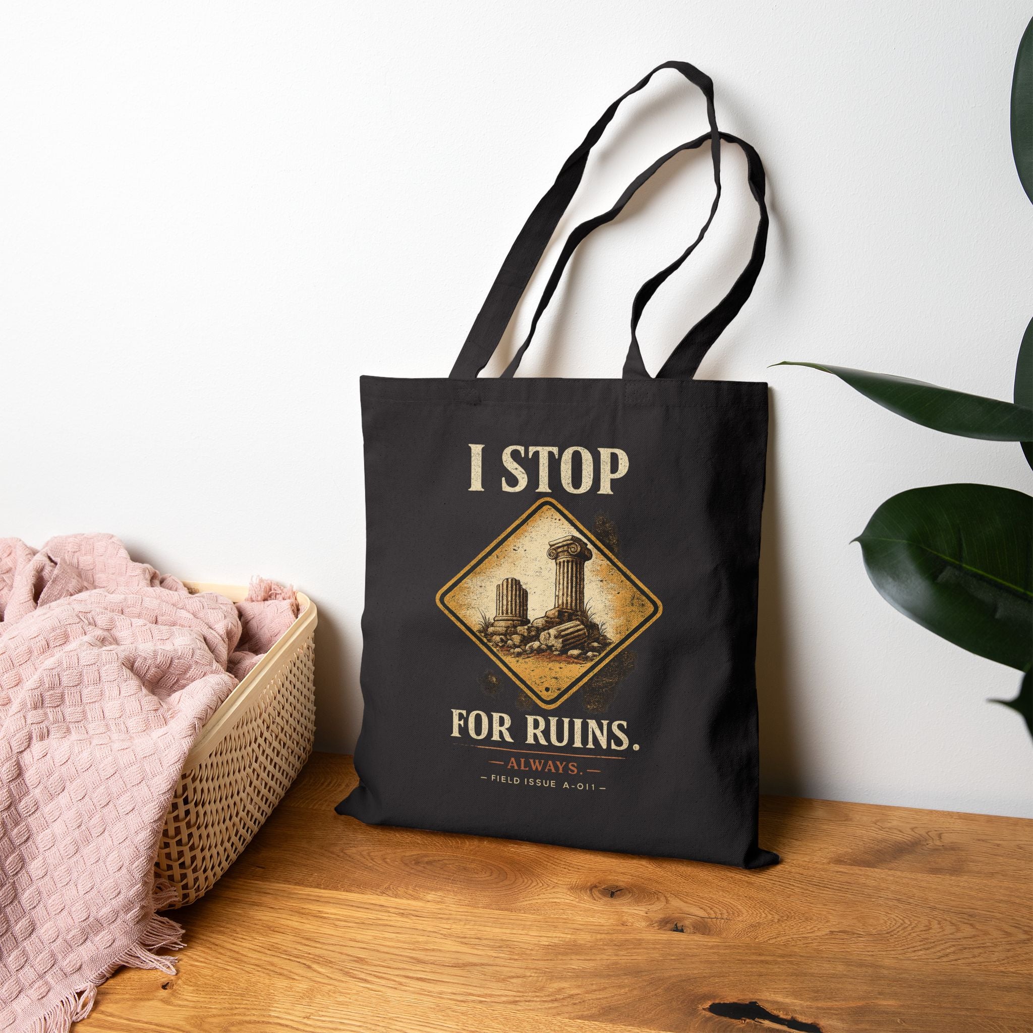 I Stop For Ruins Tote Bag, Archaeology Gift, Ancient Rome Canvas Bag, History Lover Tote, Archaeologist Gift, Museum Bag